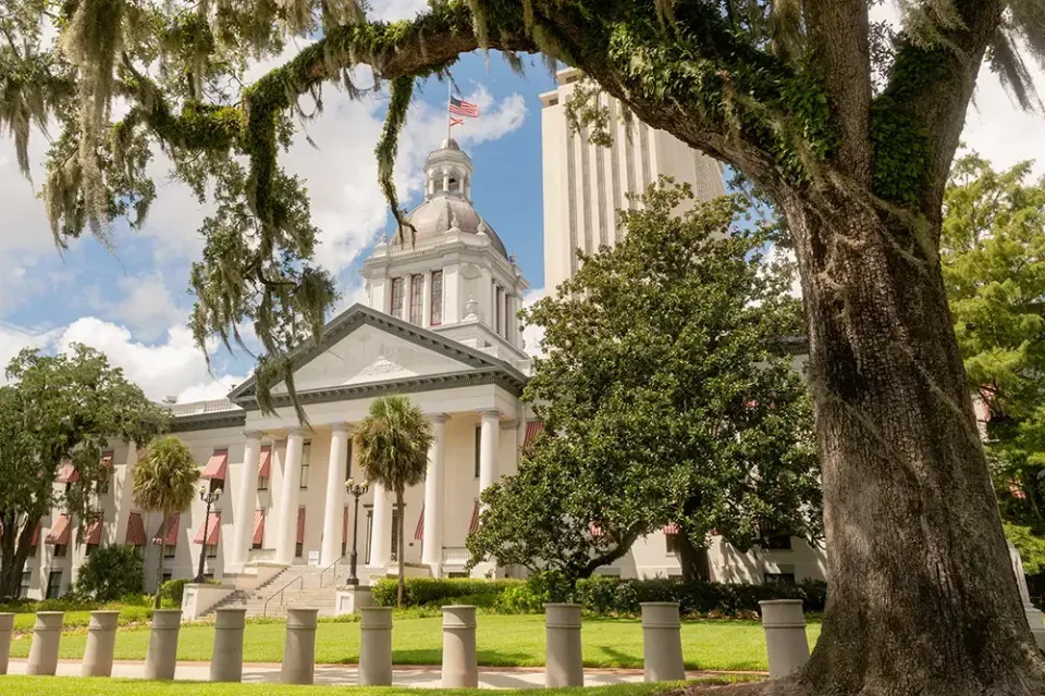Florida Capitol building framed by large oak trees with Spanish moss, featuring white columns, a domed roof, and an American flag.